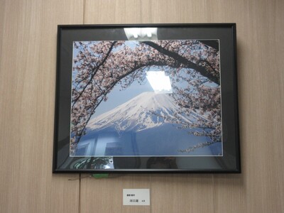 展示の様子2