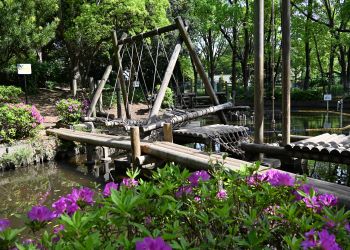 令和8年5月号　家族や友達と楽しむ大田の公園！