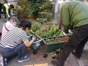 写真：花いっぱい運動　苗植えの様子