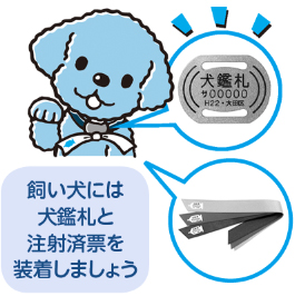 飼い犬には犬鑑札と注射済票を装着しましょう