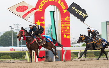 「相馬野馬追（そうまのまおい）」甲冑（かっちゅう）競馬実演