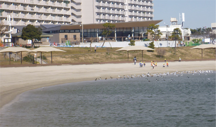 大森ふるさとの浜辺公園レストハウス大森東水辺スポーツ広場