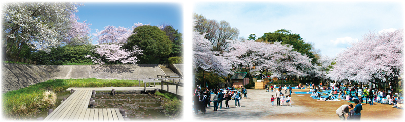 多摩川台公園