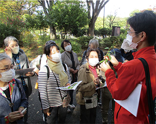 平和の森公園に自生する野草を探そう！（春編）についての画像