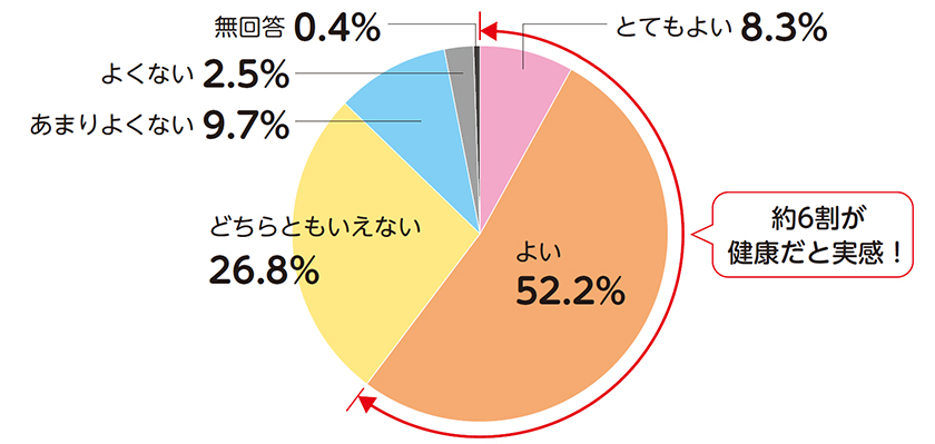 現在の健康状態はいかがですか？についての画像