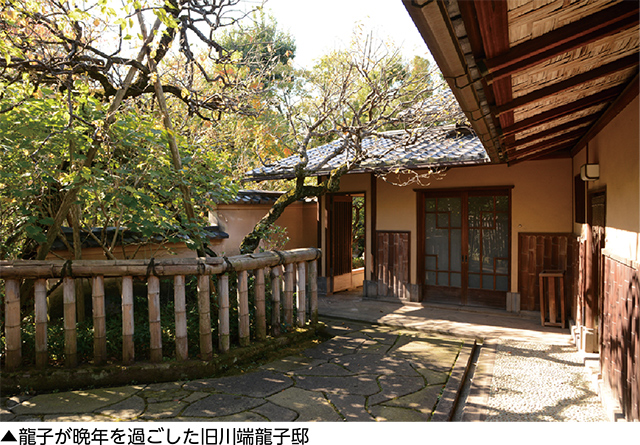 龍子公園を特別公開についての画像