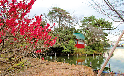 洗足池公園（大田区南千束2-14-5）についての画像