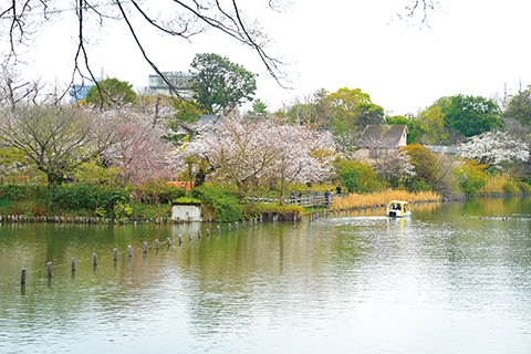 洗足池公園についての画像