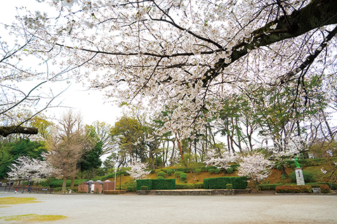 多摩川台公園についての画像