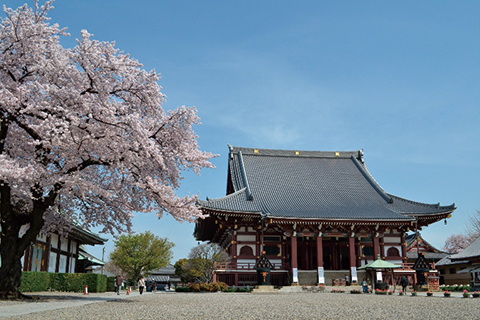 池上本門寺についての画像