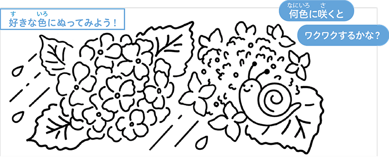 アジサイの塗り絵