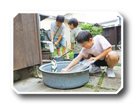 たらいで洗濯する画像