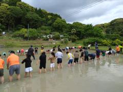 田植え開始