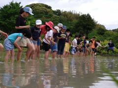 田植え中は