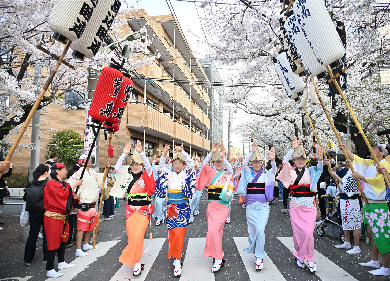 第34回馬込文士村大桜まつりの阿波踊り