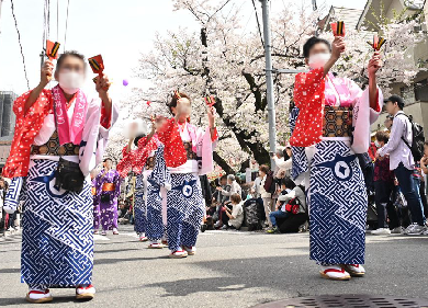 第34回馬込文士村大桜まつりの流し踊り