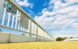 大森東避難橋