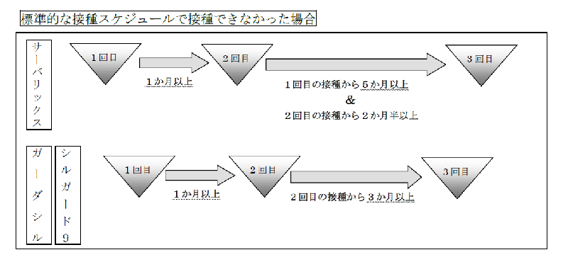 標準的な接種スケジュールで接種できなかった場合について