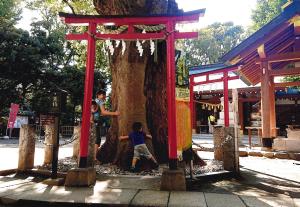 写真：北村　嘉史さん作「ご利益あるかな？」（新田神社）