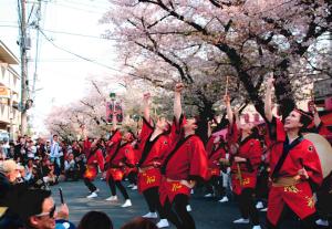 写真：木下　明美さん「笑顔の若い衆」（馬込桜並木）