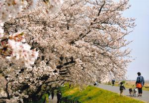 写真：中田　和義さん作「六郷川・土手散歩」（六郷川水門附近）