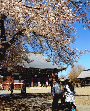 写真：山本　秀一さん作「親子」（池上本門寺）