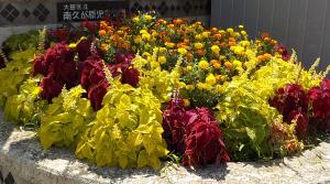 写真：南久が原児童公園の花壇