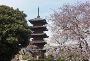 写真：呑川（石川町二丁目）