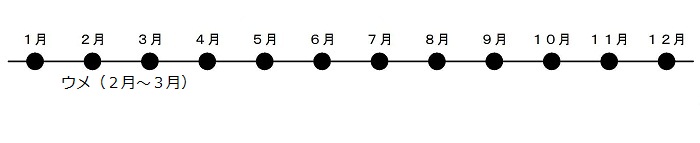 梅が2から3月にさきます。