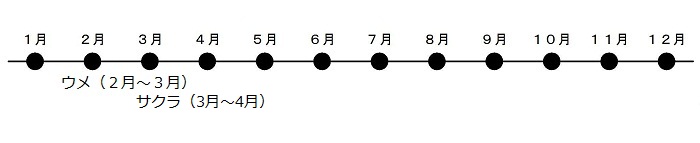 うめが2がつから3がつ、さくらが3がつから4がつにさきます。