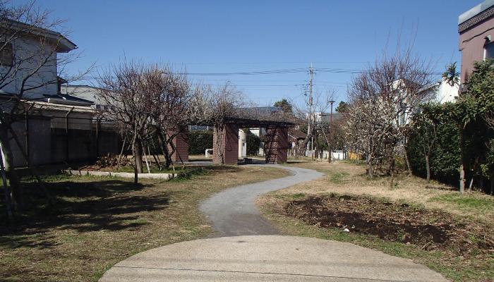 写真：公園の様子・その1