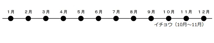 いちょうが10がつから11がつにこうようします。