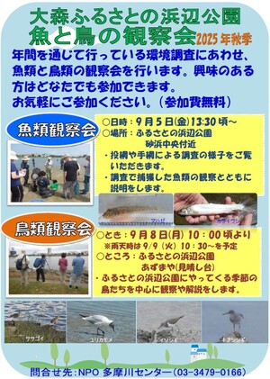 魚と鳥の観察会のお知らせ