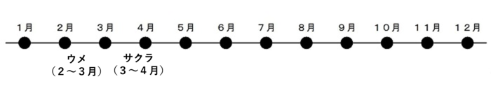 花暦